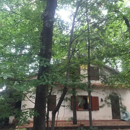 Semesterbostad Etna Park House Fleri