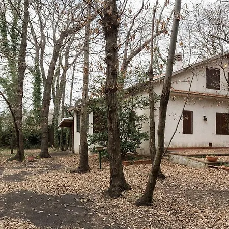 Etna Park House Semesterbostad Fleri